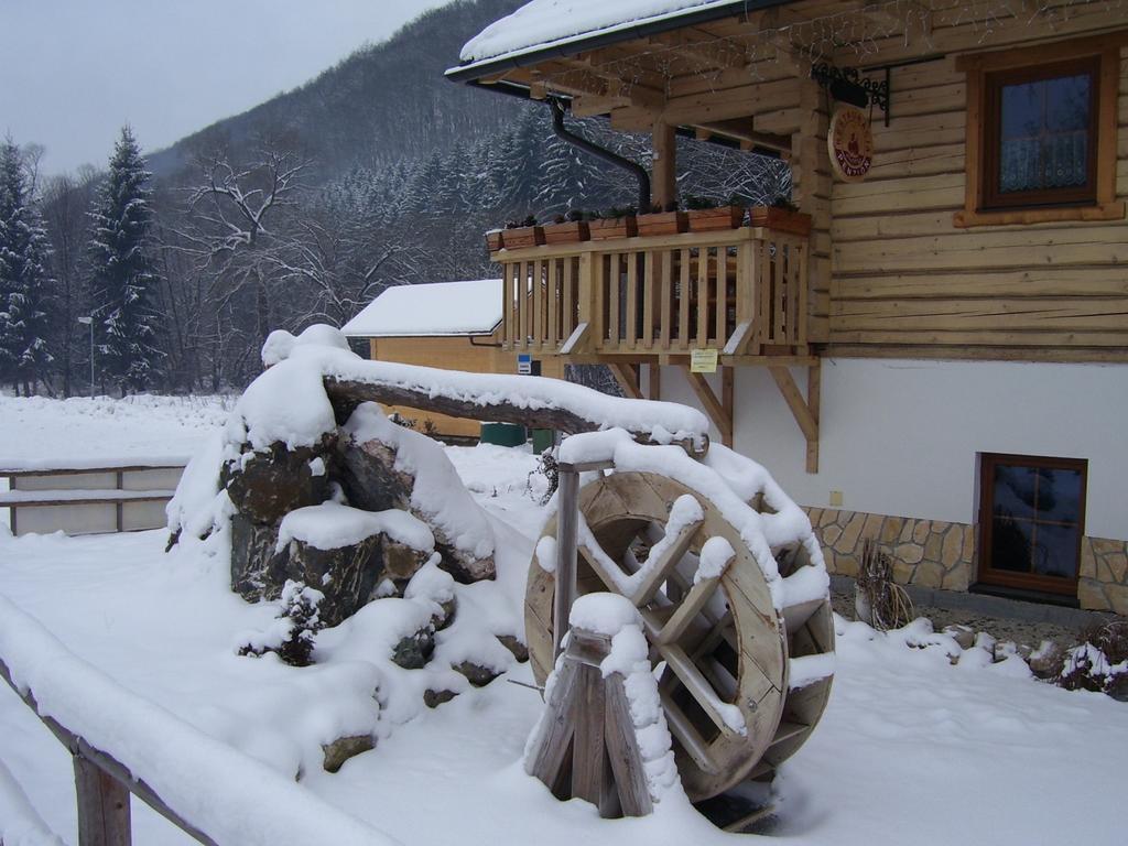 Guest house Mlynarka Rajecke Teplice